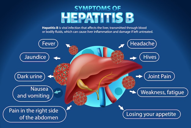 Infographie sur les symptômes de l'hépatite B