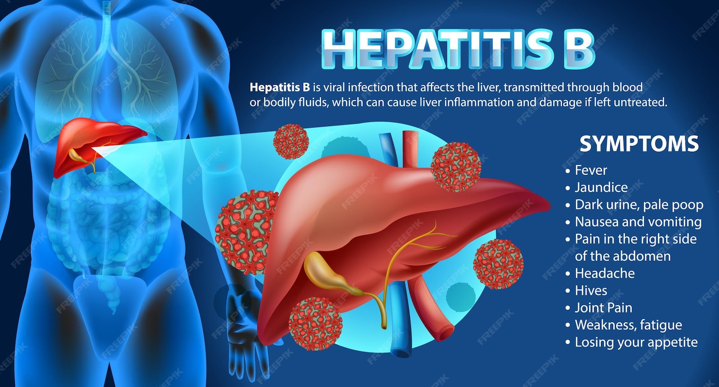 Infographie sur les sympt mes de l h patite b vecteur gratuite