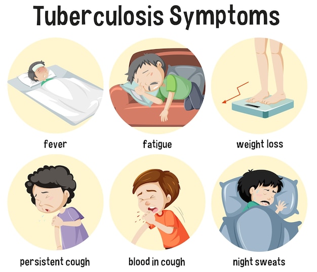Infographie sur les symptômes de la tuberculose