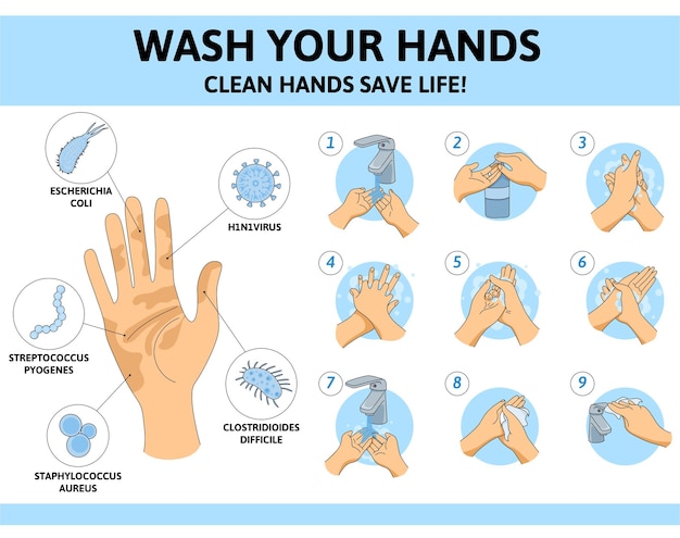 Vecteur gratuit infographie sur les virus du lavage des mains