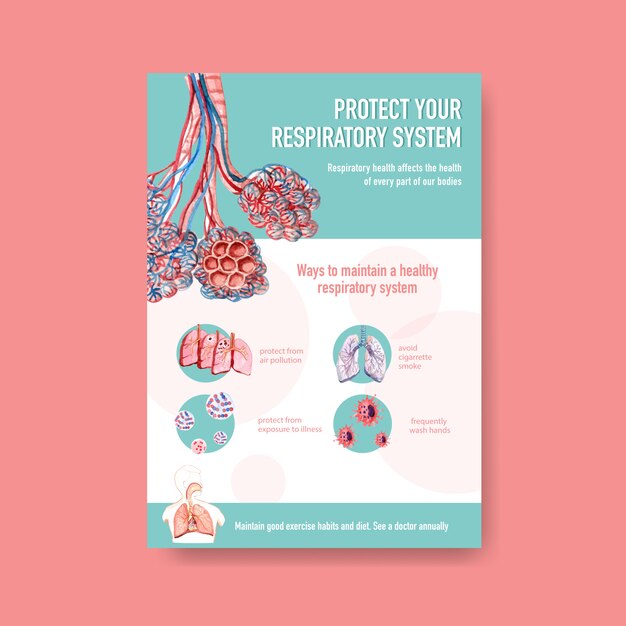 Informations Sur L'anatomie Du Système Respiratoire Et Compréhension D'un Système Essentiel