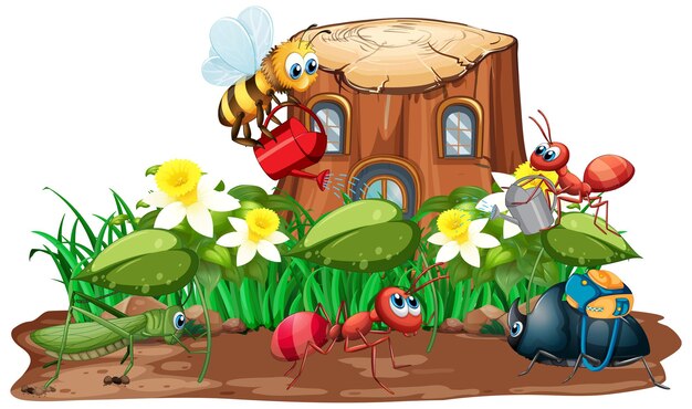 Insecte dans la nature