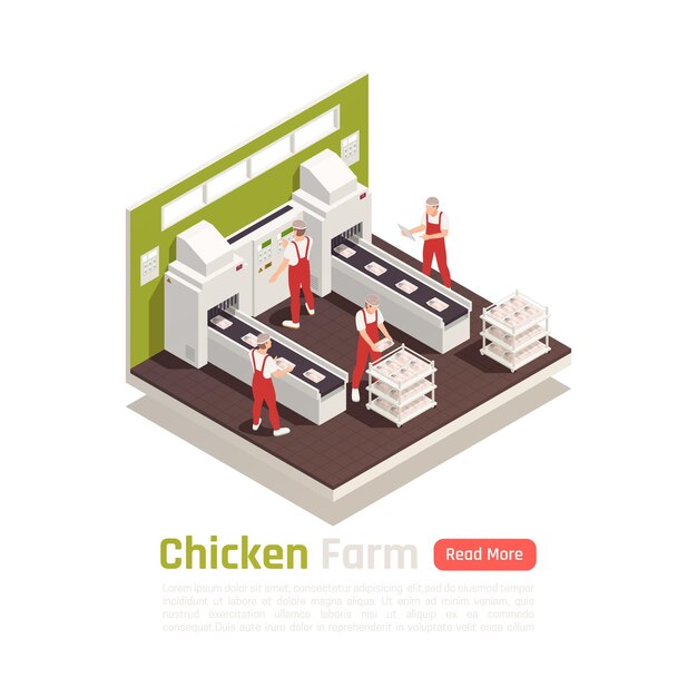 Installation de production industrielle de ferme avicole avec de la viande de poulet sur un système d'emballage automatisé à bande transporteuse bannière isométrique