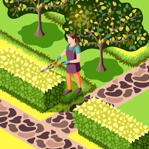 Jardinier avec outil lors de la coupe des buissons bel aménagement paysager avec des arbres et des trottoirs en pierre illustration isométrique