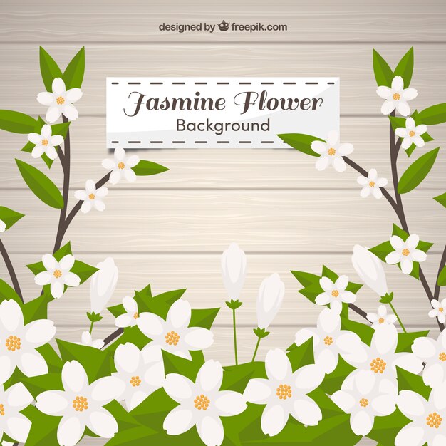 Vecteur gratuit jasmine avec fond de feuilles