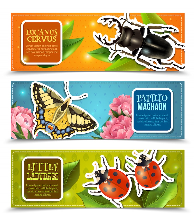 Vecteur gratuit jeu de bannières insectes
