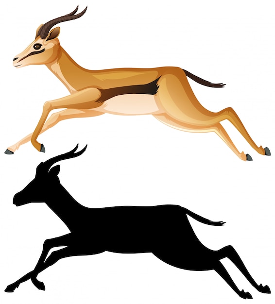 Jeu De Caractères De Dessin Animé De Gazelle