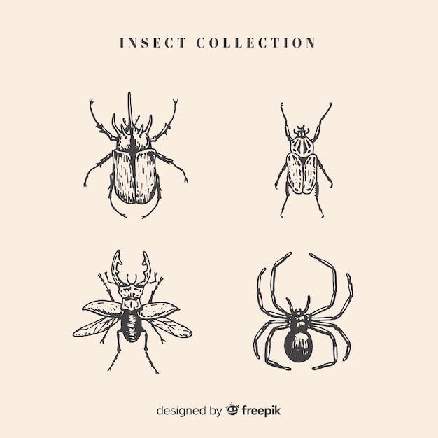 Jeu de croquis d&#39;insectes réaliste dessinés à la main