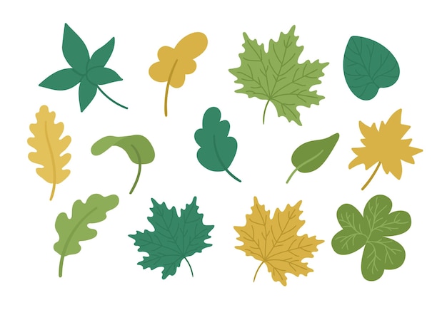 Jeu de feuilles d'automne mignon vectorielles. collection de verdure d'automne. érable tombant, chêne, feuille de châtaignier