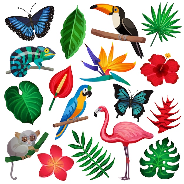 Vecteur gratuit jeu d'icônes exotiques tropicales
