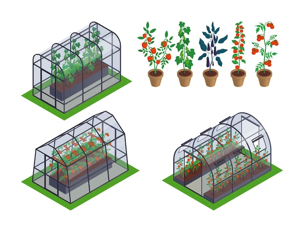 Jeu d'icônes de légumes de serre isométrique