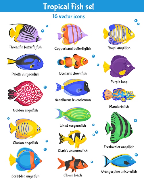 Vecteur gratuit jeu d'icônes de poissons tropicaux