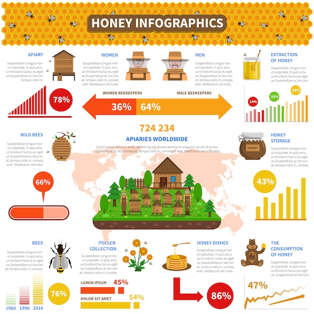 Jeu D'infographie De Miel