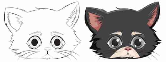 Vecteur gratuit une jolie illustration de chaton avant et après