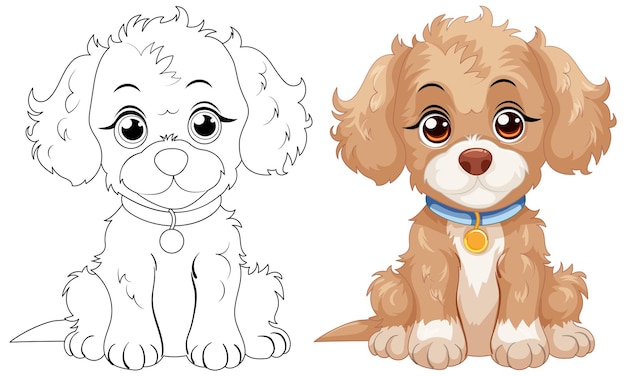 Une jolie illustration de chiot avant et après