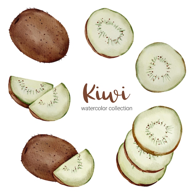 Vecteur gratuit kiwi dans une collection d'aquarelle, plein de fruits et coupé en morceaux