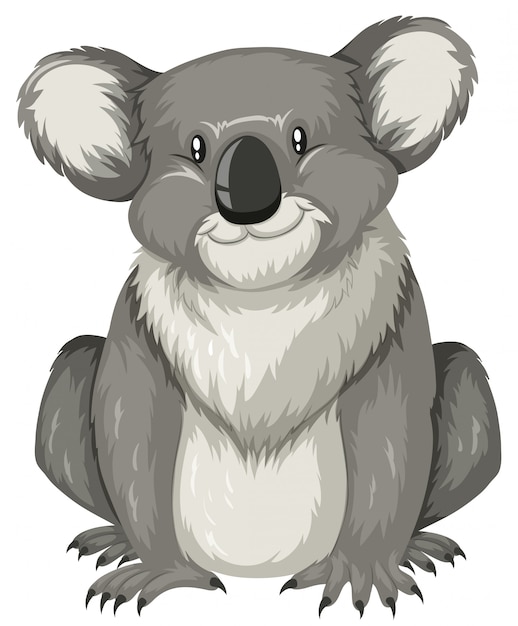 Vecteur gratuit koala mignon assis seul