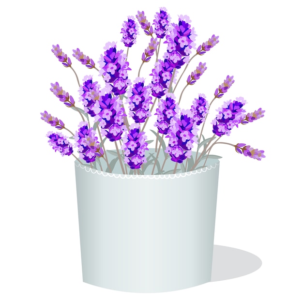 Vecteur gratuit lavender illustration background