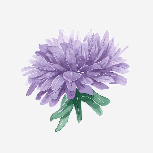 Élément d'autocollant dessiné main aquarelle violet aster vector