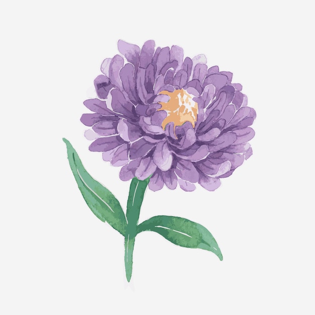 Élément d'autocollant dessiné main aquarelle violet aster vector