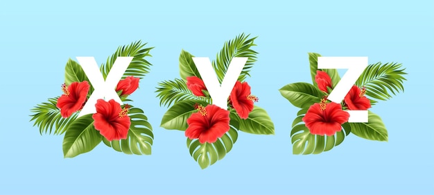 Vecteur gratuit lettres xyz entourées de feuilles tropicales d'été et de fleurs d'hibiscus rouges