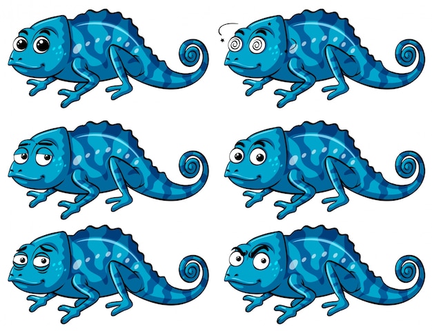 Lézard Bleu Avec Six émotions Différentes