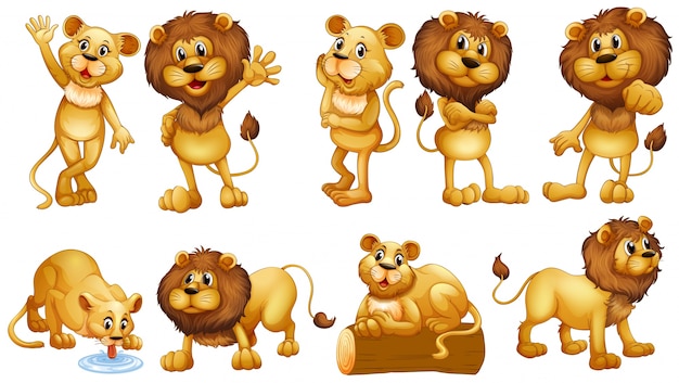 Vecteur gratuit lions dans différentes actions illustration