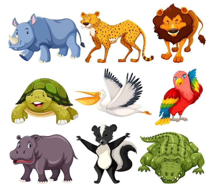 Vecteur gratuit lot d&#39;animaux