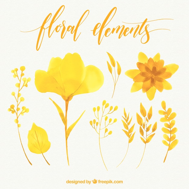 Lot de fleurs à l&#39;aquarelle jaune