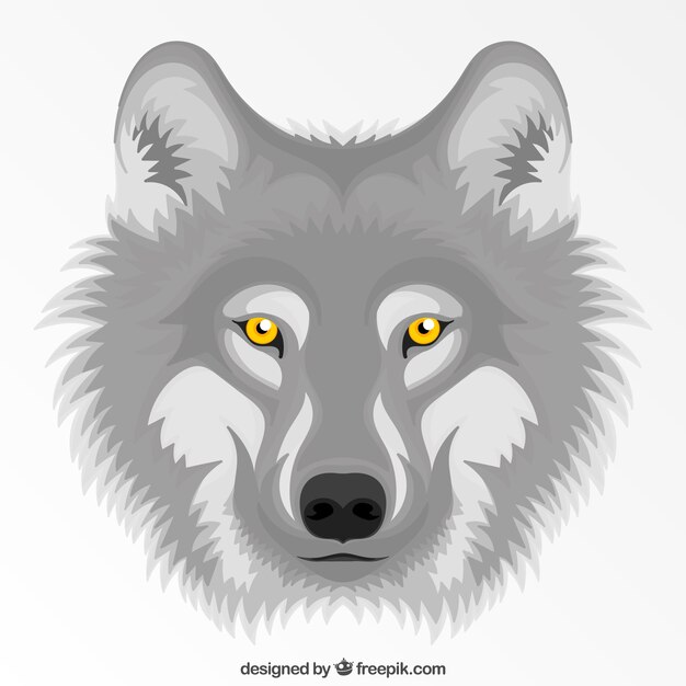 Loup gris aux yeux jaunes fond