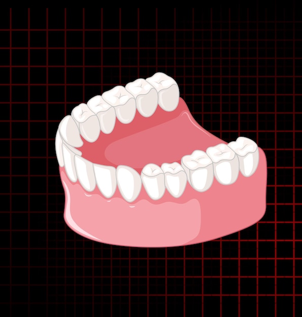 Vecteur gratuit mâchoire humaine avec des dents