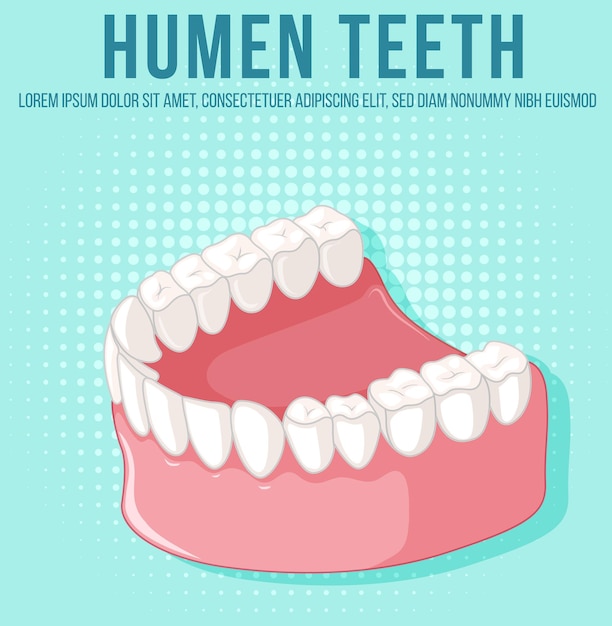 Vecteur gratuit mâchoire humaine avec des dents