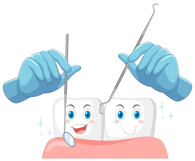 Main de dentiste avec modèle de dents humaines