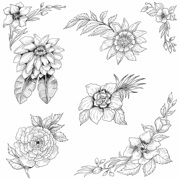 Vecteur gratuit main dessiner la scénographie de croquis floral