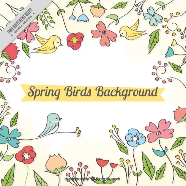 Vecteur gratuit main printemps dessiné fond avec des oiseaux