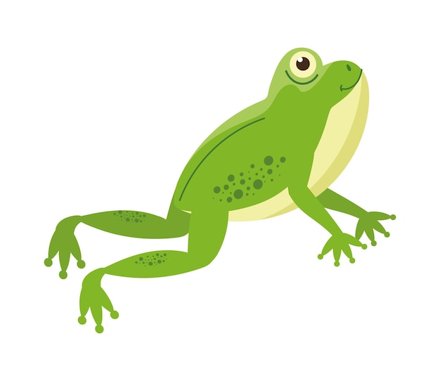 Vecteur gratuit mascotte de crapaud mignon