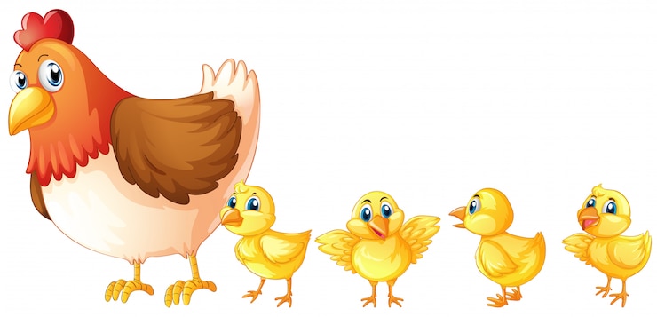 Vecteur gratuit mère poule et quatre poussins