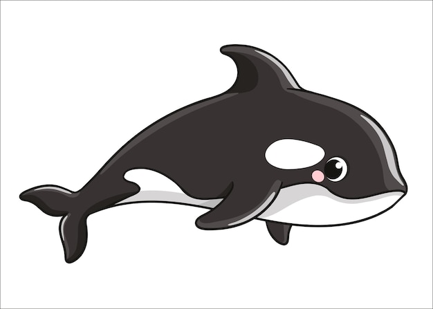 Mignon baleine grampus sur fond blanc en style cartoon