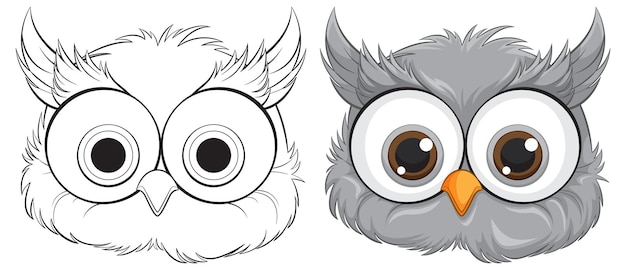 Le Mignon Hibou De Dessin Animé Avant Et Après La Coloration