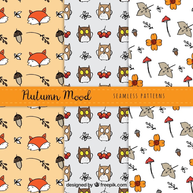 Mignon Pack De Motifs D'automne Avec Des Animaux