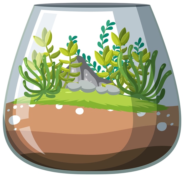 Vecteur gratuit mignons terrariums en verre avec plantes succulentes sur fond blanc
