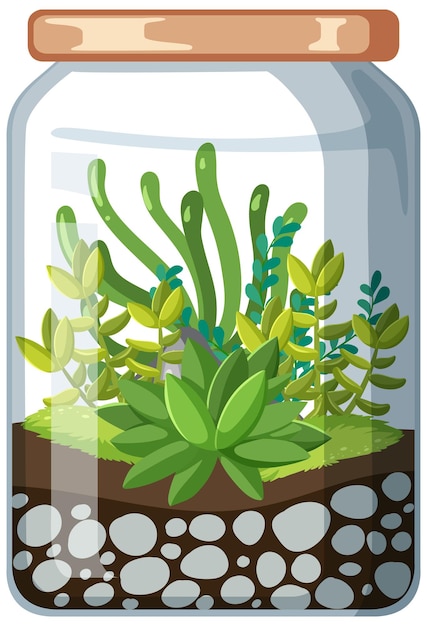 Vecteur gratuit mignons terrariums en verre avec plantes succulentes sur fond blanc