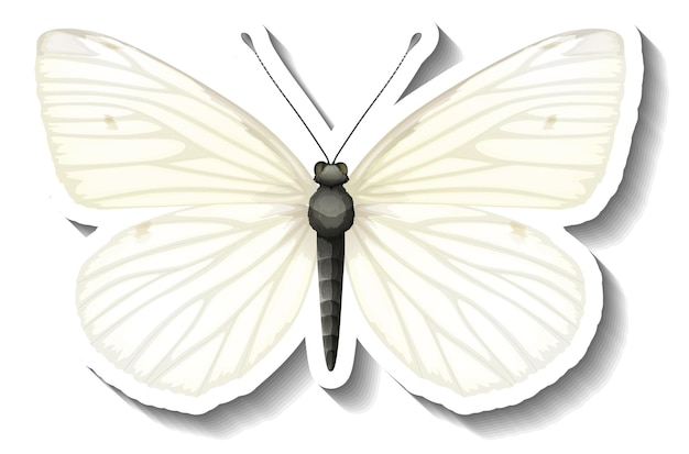Un modèle d'autocollant avec papillon blanc isolé