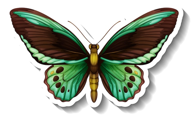 Un modèle d'autocollant avec papillon ou papillon isolé