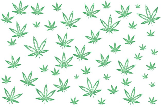 Modèle de cannabis avec des feuilles de marijuana