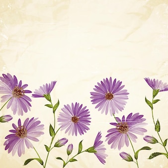 Modèle de carte avec tête de fleur de chrysanthème. illustration vectorielle.