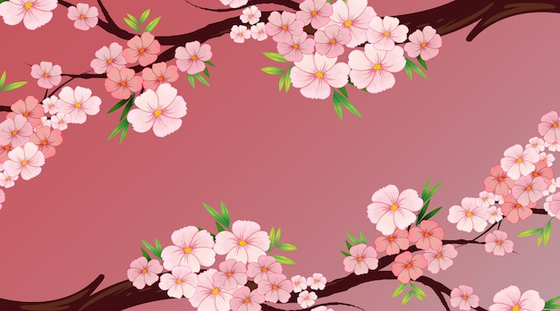 Modèle de conception de fond avec fleur rose ou sakura sur l'arbre