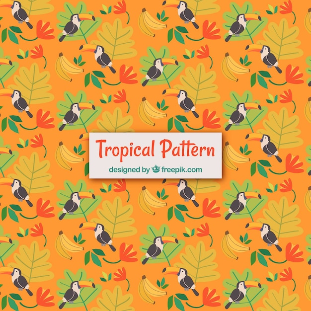 Modèle d&#39;été tropical avec des toucans et des plantes