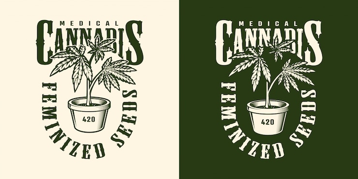 Vecteur gratuit modèle d'étiquette de fleur de cannabis vintage