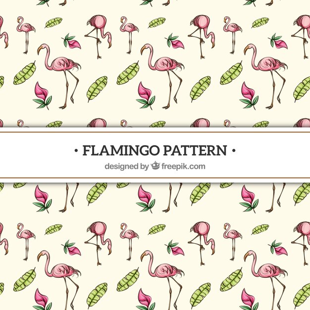 Vecteur gratuit modèle de flamants roses avec des plantes dans le style dessiné à la main